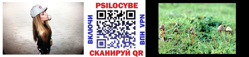 Псилоцибиновые грибы Cubensis  Кадников 